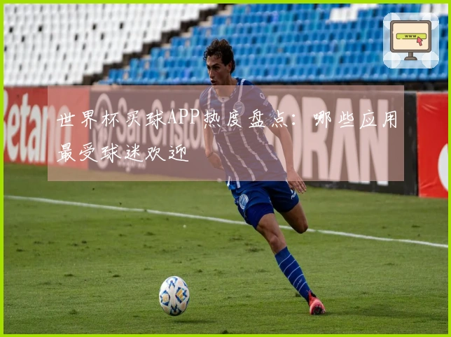 世界杯买球APP热度盘点：哪些应用最受球迷欢迎