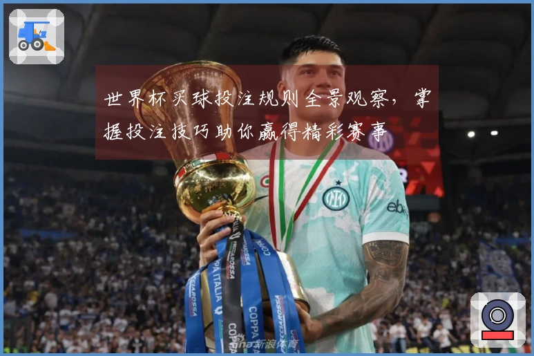 世界杯买球投注规则全景观察，掌握投注技巧助你赢得精彩赛事