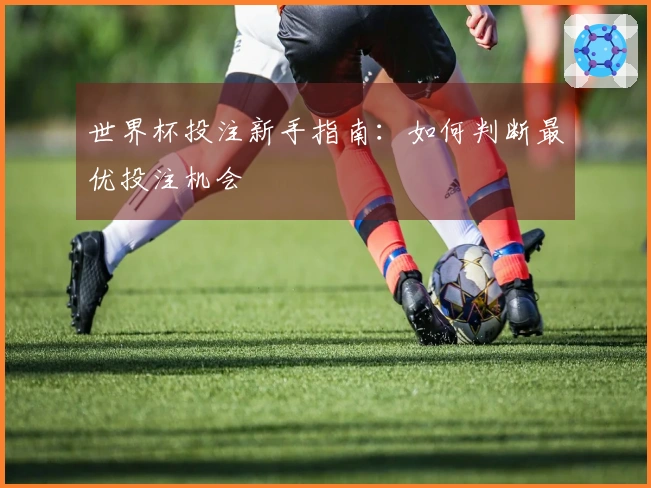 世界杯投注新手指南：如何判断最优投注机会