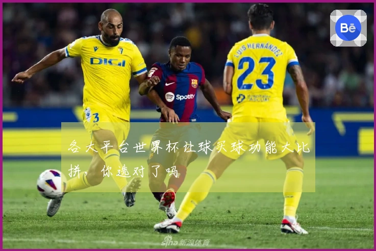 各大平台世界杯让球买球功能大比拼，你选对了吗