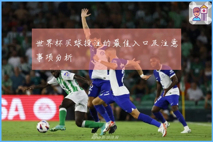世界杯买球投注的最佳入口及注意事项分析