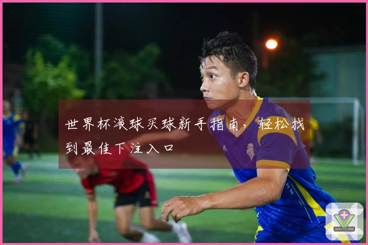 世界杯滚球买球新手指南，轻松找到最佳下注入口