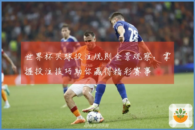 世界杯买球投注规则全景观察，掌握投注技巧助你赢得精彩赛事