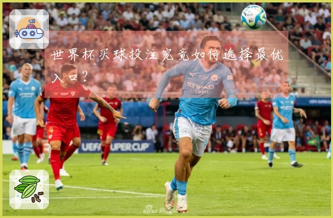 世界杯买球投注究竟如何选择最优入口？